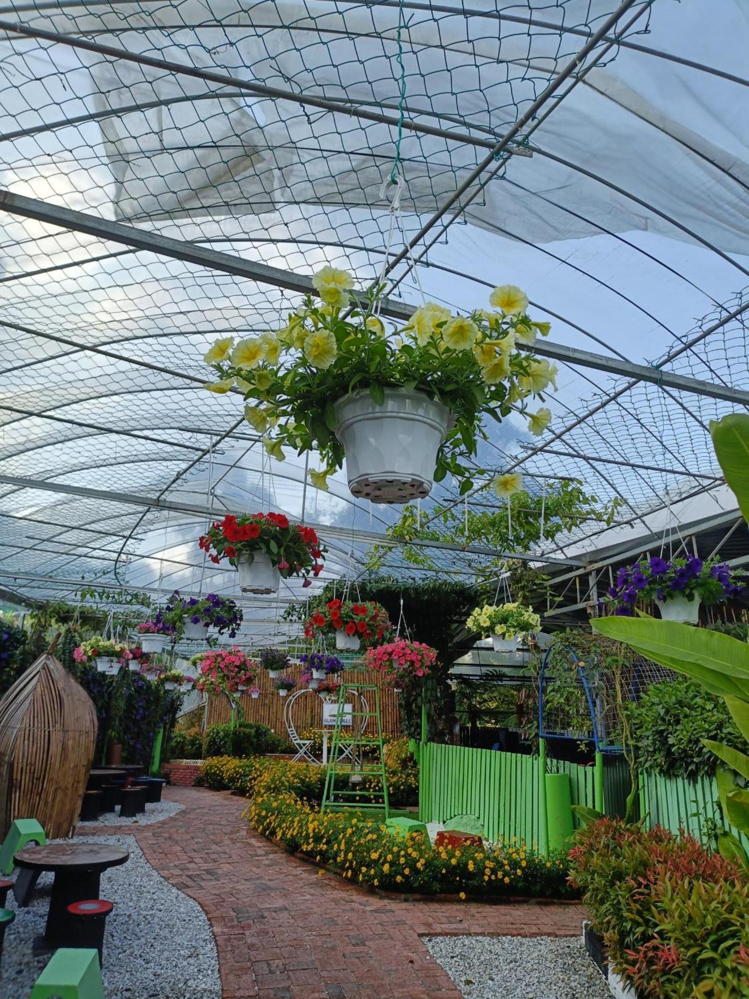 Hotel Glamz Hills Cameron Highlands Zewnętrze zdjęcie