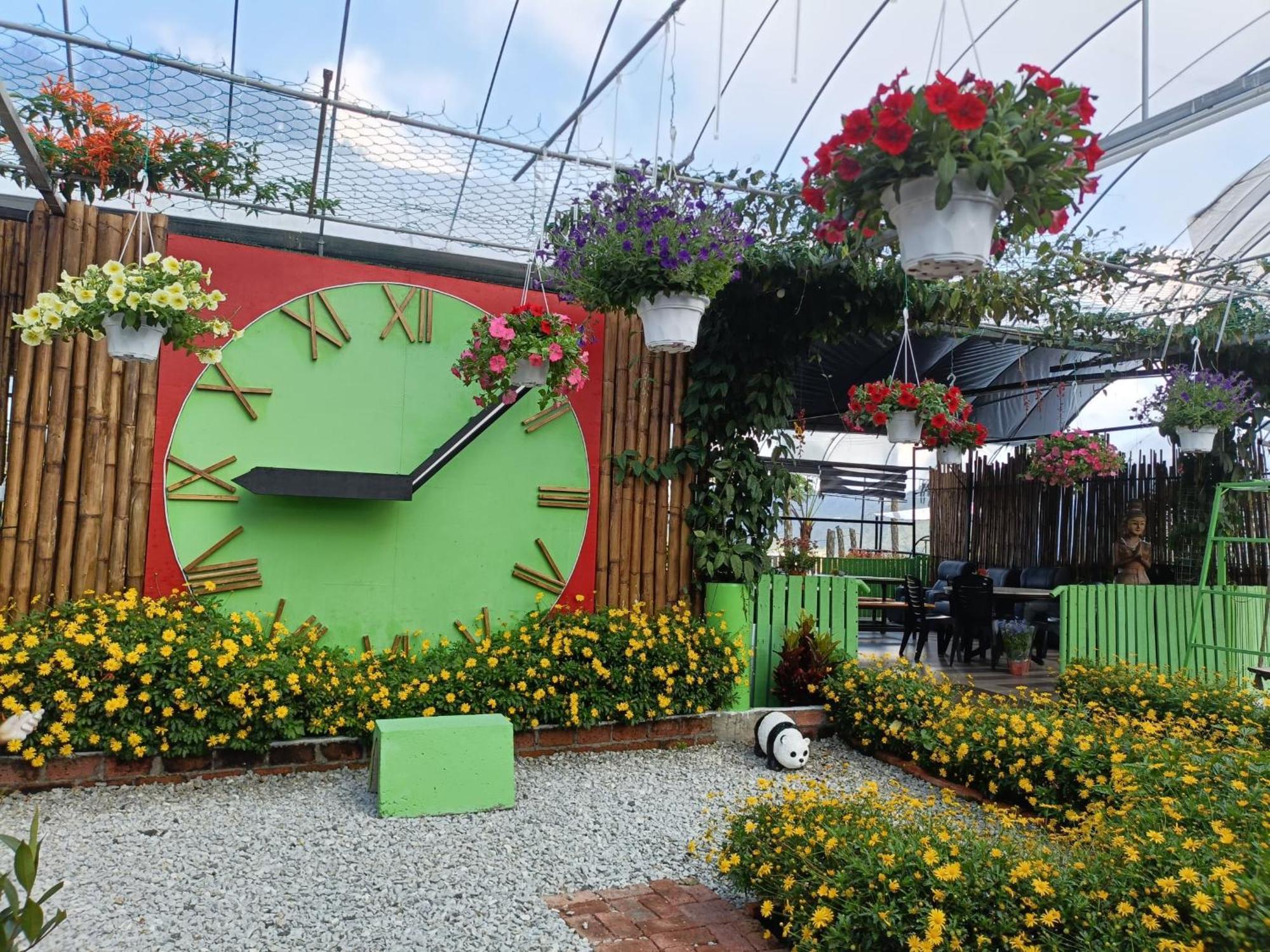 Hotel Glamz Hills Cameron Highlands Zewnętrze zdjęcie